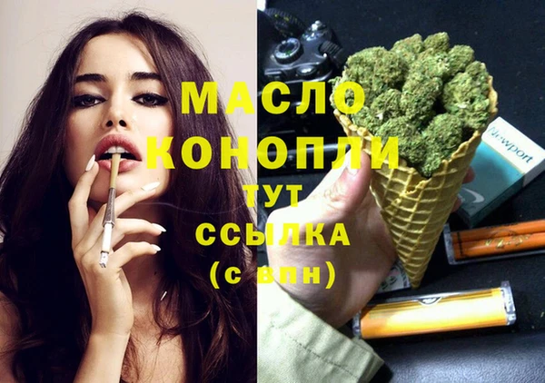 гидра Кулебаки