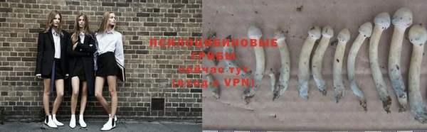 кокаин VHQ Куйбышев