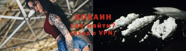 гидра Кулебаки