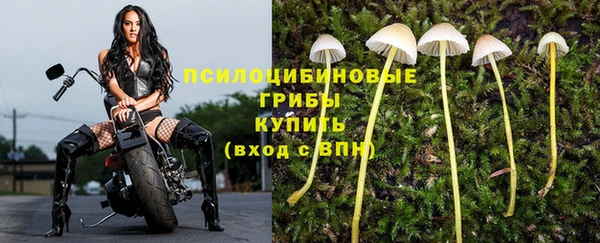 гидра Кулебаки
