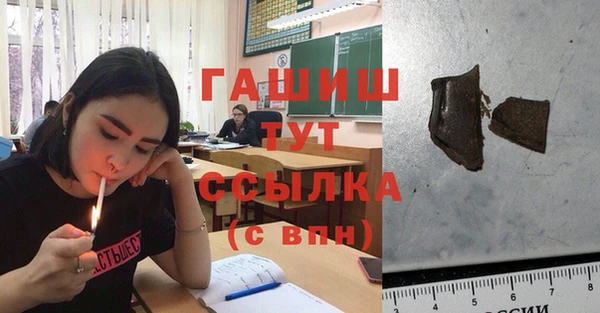 гидра Кулебаки