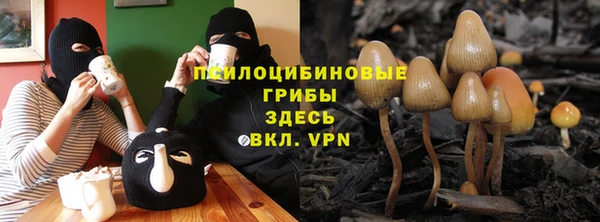 ALPHA-PVP Нижневартовск