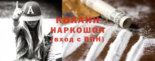 гидра Кулебаки